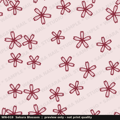 Sakura Blossom